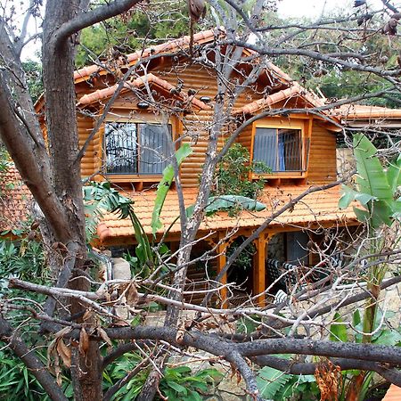 Ohn-Bar Guesthouse 아미림 외부 사진